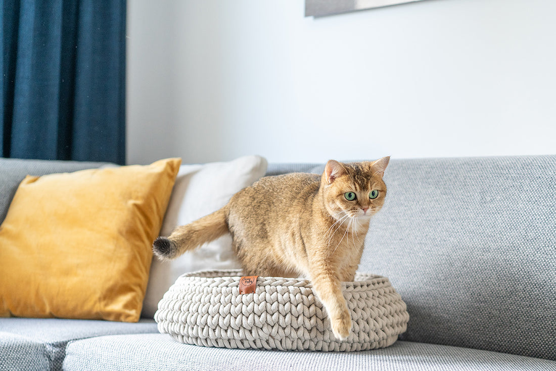 Sunny Baskets kattenmand beige op de bank