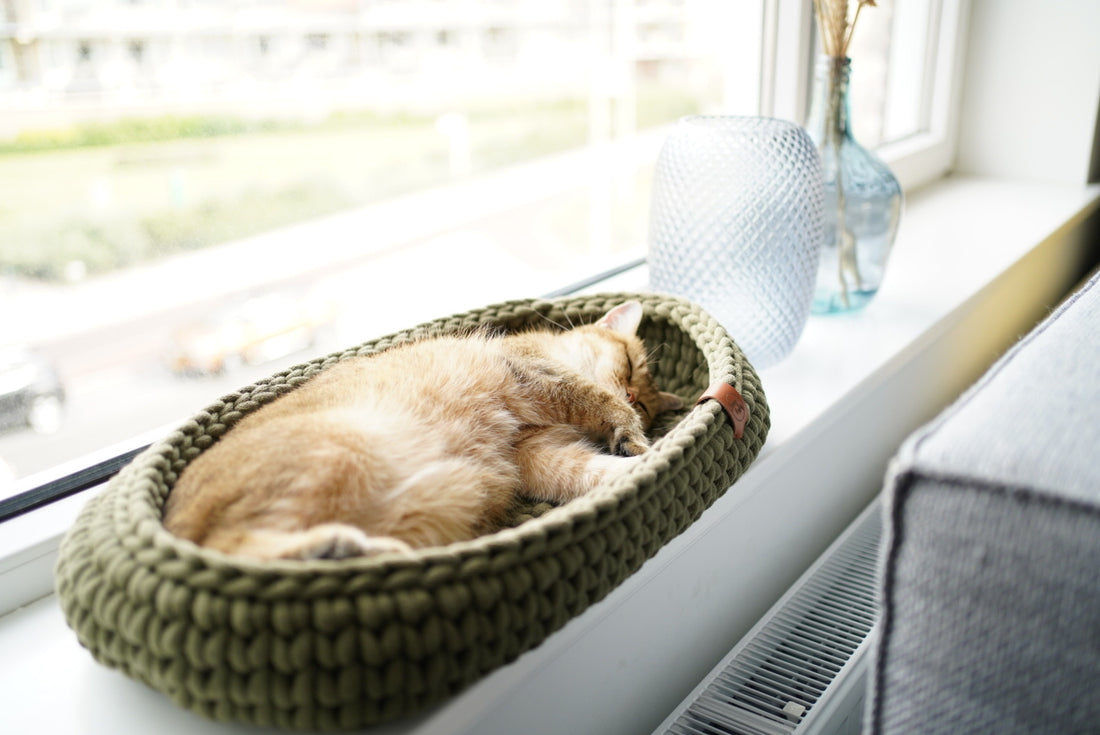 Kattenmanden voor in het raam voor de zonnigste siesta's