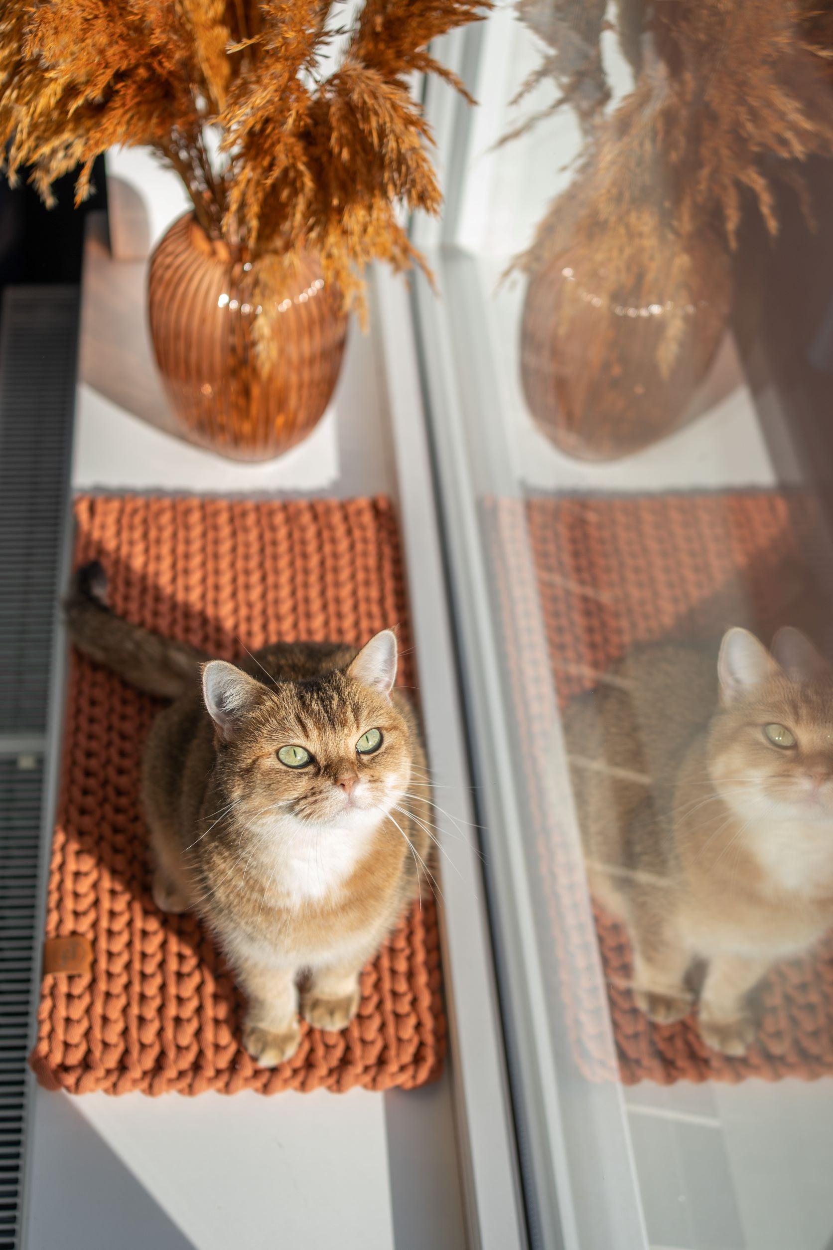 vensterbank mat voor katten in terracotta