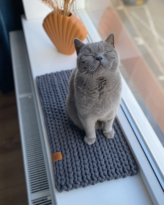 vensterbank mat voor katten in donkergrijs